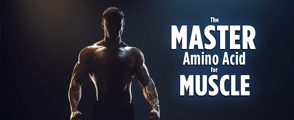 Unlocking Muscle Protein Synthesis